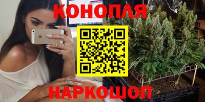 сатива Рыбинск